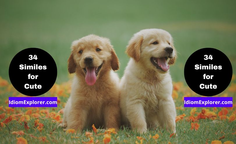 34 Similes for Cute (with Meaning, Examples & Quiz)