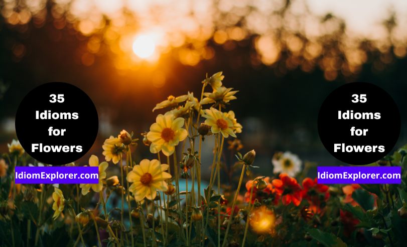 35 Idioms for Flowers (with Exercise to Practice Quiz)