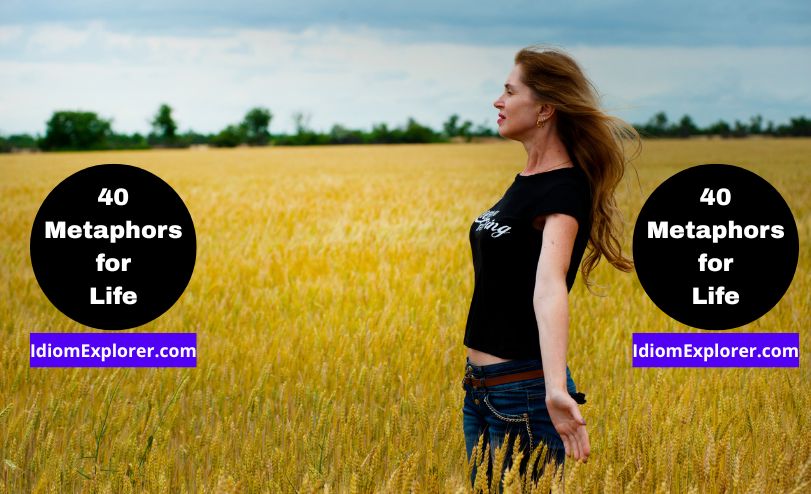 40 Metaphors for Life (with Exercise to Practice Quiz)