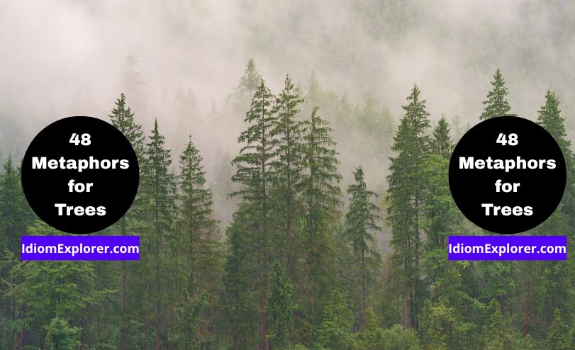 48 Metaphors for Trees (with Exercise to Practice Quiz)