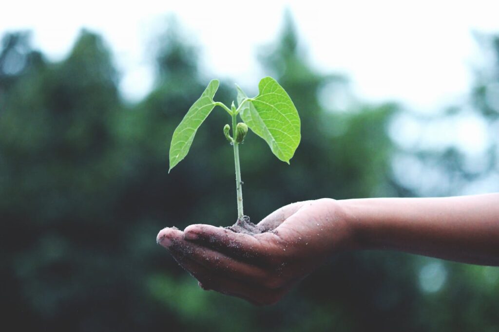 Metaphors for New Beginnings Quiz