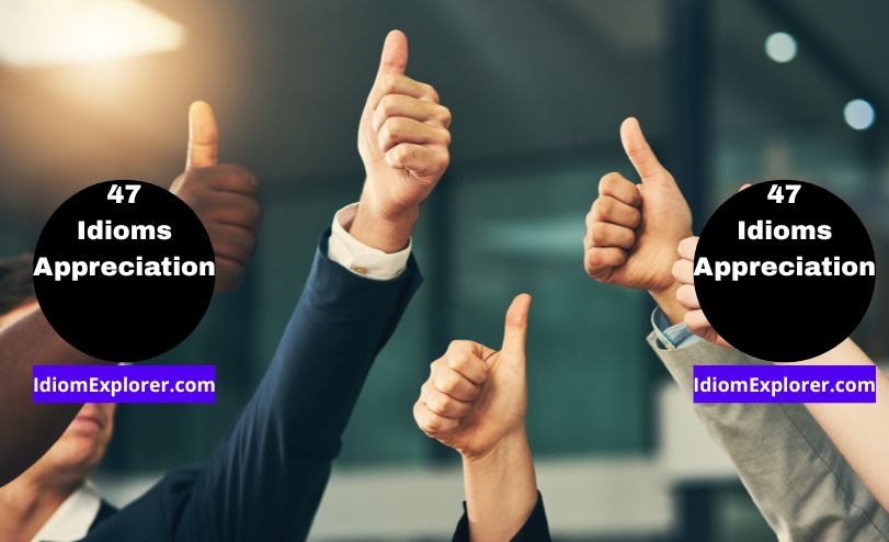 47 Idioms for Appreciation
